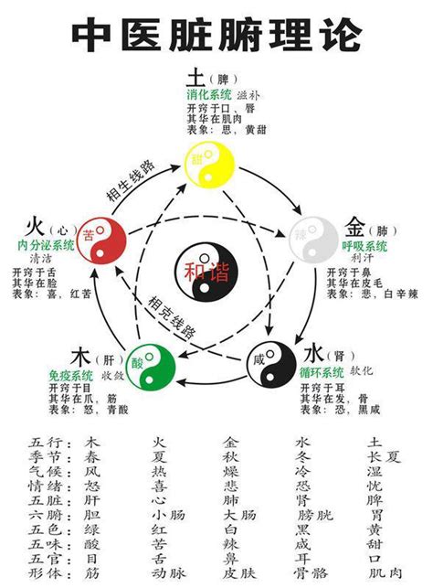 中醫陰陽五行學說|中醫基礎/氣一元論、陰陽學說、五行學說的關係